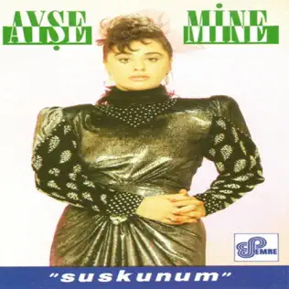 descargar álbum Ayşe Mine - Suskunum