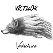 Valachus artwork