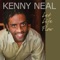 You've Got to Hurt Before You Heal - Kenny Neal lyrics