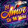 El Amor de mi Vida - Single