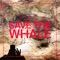 Save the Whale (feat. Jarvis Cocker) - Single