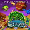 SeeSaw(Remix) - Single album lyrics, reviews, download
