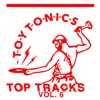 Toy Tonics Top Tracks, Vol. 6