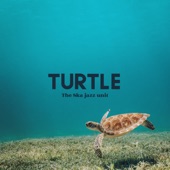 Turtle artwork