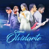 Cómo Olvidarte (En Vivo) artwork