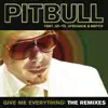 Give Me Everything (The Remixes) [feat. Ne-Yo, Afrojack & Nayer] album lyrics, reviews, download