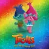 Hair In the Air (Trolls: The Beat Goes On Theme) song lyrics