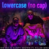 Lower Case (no cap) [feat. Killer Mike] - Single