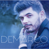 Como te imaginé - Demarco Flamenco