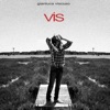 Vis