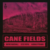 Natural High Music - Cane Fields (feat. Jesse Royal)