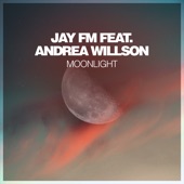 Moonlight (feat. Andrea Willson) [Dub Mix] artwork