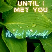 Until I Met You artwork
