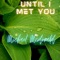 Until I Met You artwork