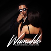 Wamuhle (feat. Sino Msolo & Tweezy) artwork