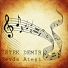 Sevda Ateşi - Single