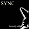 Crash - SYNC lyrics