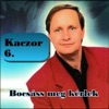 Bocsáss meg kérlek (Kaczor 6)
