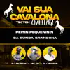 Stream & download Vai Sua Cavalona - Tik Tok Challenge (feat. MC Th) - Single