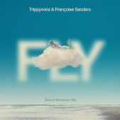 Fly (Sound Behaviour Mix) artwork