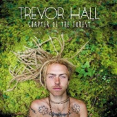 Trevor Hall - Wish Man