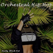 Orchestral Hip Hop artwork