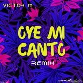 Oye Mi Canto (Remix) artwork