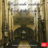 The Organ of the Bohemian Baroque artwork