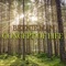 Concept of Life - Single