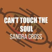Can't Touch the Soul artwork