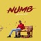 Numb artwork