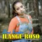 Ilange Roso - Dini Kurnia lyrics