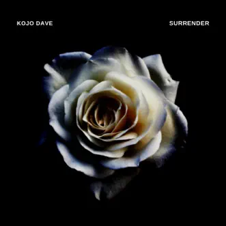 Surrender - Single by Kojo Dave album reviews, ratings, credits