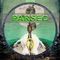 Distant Past - Parsec lyrics