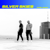 Silver Skies - MANILA GREY