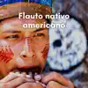 Flauto nativo americano - Guarigione dell'anima album lyrics, reviews, download