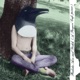PENGUIN CAFE ORCHESTRA cover art