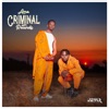 Ama Criminal Records - Single