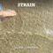 Strain - Elson Complex lyrics