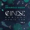 Chinese Ambient Music Lab, Vol. 2