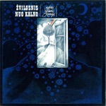 SANTECHNIKAS IŠ UKMERGĖS