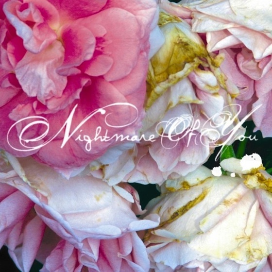 Cover artwork for Ode to Serotonin