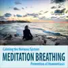 Stream & download Meditation Breathing, Calming the Nervous System and Promoting Homeostasis.