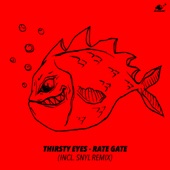 Rate Gate (Snyl Space Gate Remix) artwork