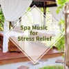 Spa Music for Stress Relief