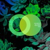 Ade Sampler - Single