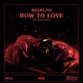How To Love (feat. Rachel Lorin) artwork