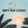 Isn't She Lovely - Single