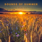 Sounds of Summer artwork