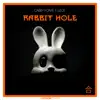 Rabbit Hole - Single album lyrics, reviews, download